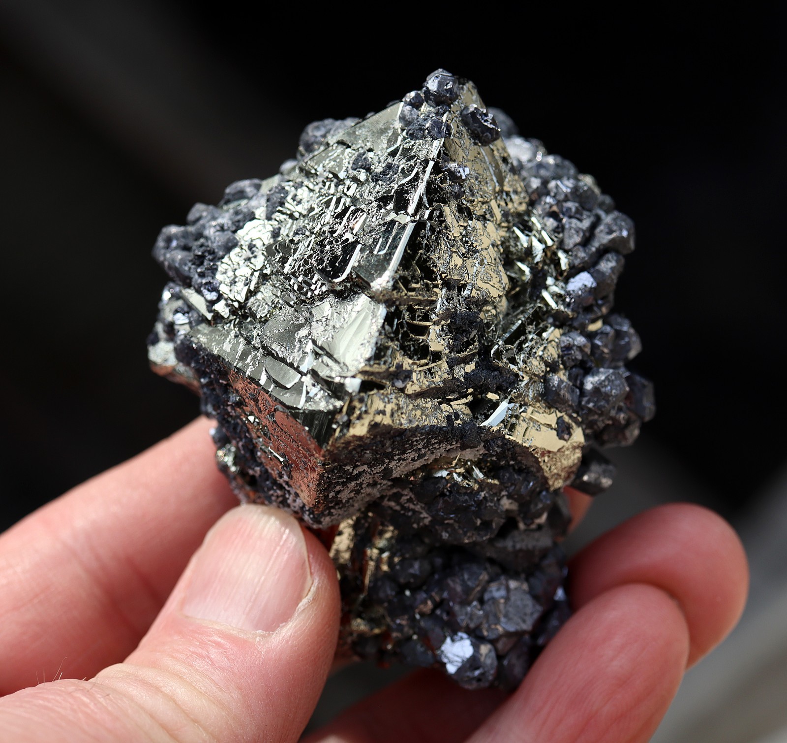 A perfect octahedron of pyrite with galena. No damage Huanzala mine Ancash, Peru
