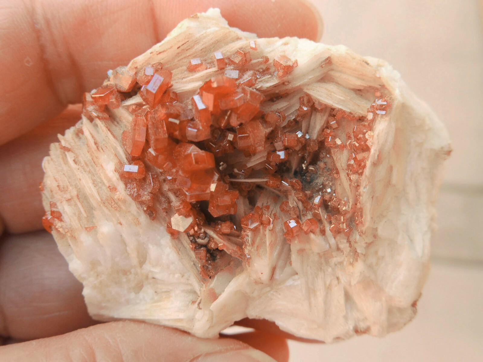 Lustrous Vanadinite on Barite, Mibladen, Midelt, Morocco, 2.0” x 1.7” x 0.8”