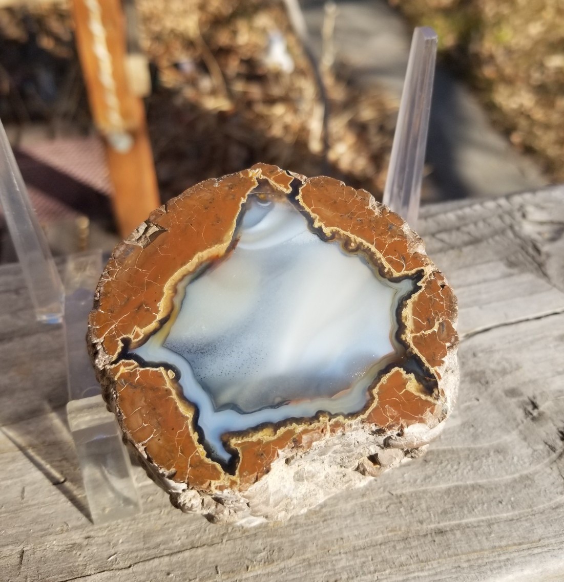 Nice Richardson Ranch Thunder Egg Geode 3″ Polished Half Specimen Opaque Banding