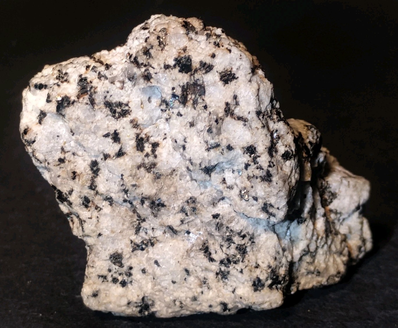 Polymetallic Ore Matrix Quartz, Pyrite & Silver/Black Sulfides – Blue Mountain?