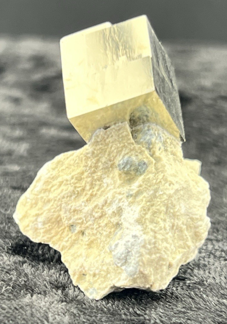 Pyrite Cube on Limestone Matrix from Mina Ampliación A Victoria, Navajún, Spain.