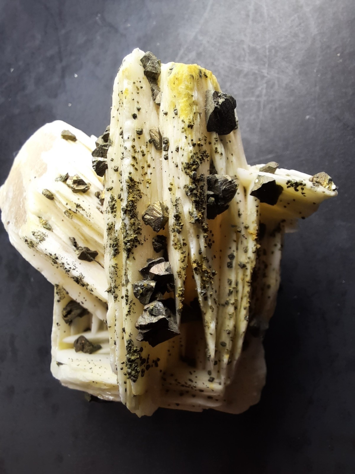 Pyrite Crystals on Barite, Morocco 2 1/2 x 1 5/8th x 1 inch