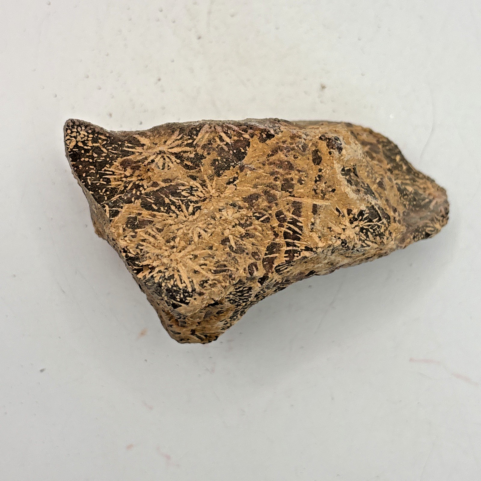 Beautiful Spider Jasper Chrysanthemum Specimen 352 Grams