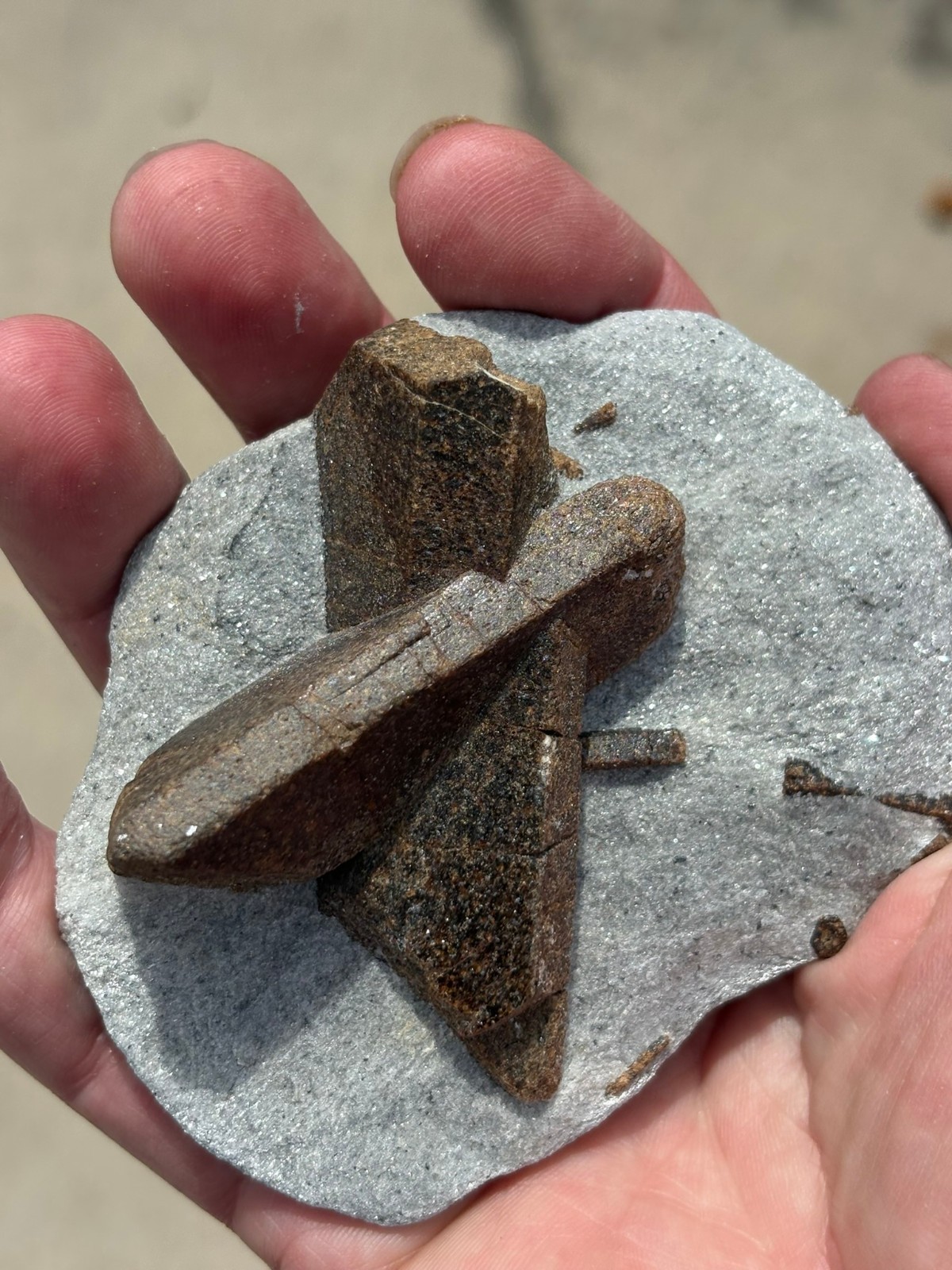 Staurolite, “fairy cross”, Keivy Mountains, Kola Peninsula, Russia