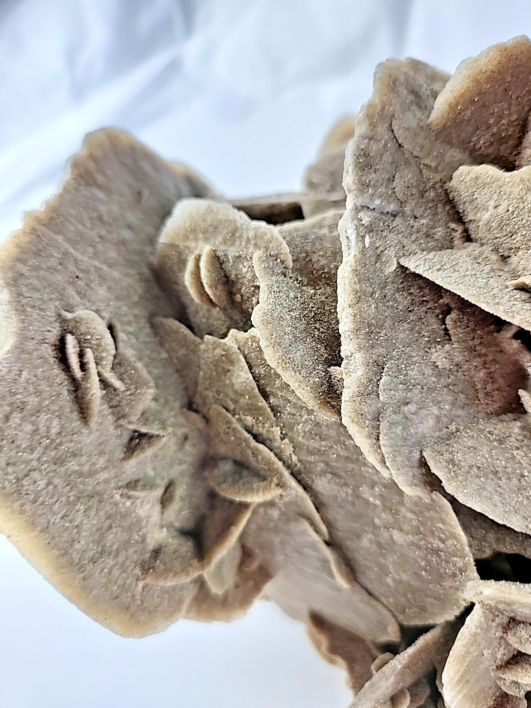 6 LB 7 OZ 2.94 kg Selenite Desert Rose Gypsum Minerals Crystals