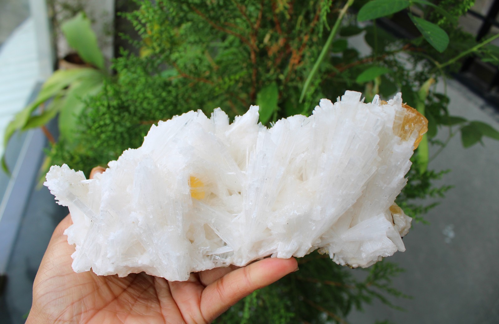 Calcite Crystals w/ Scolecite Format On Matrix Natural Mineral Specimen
