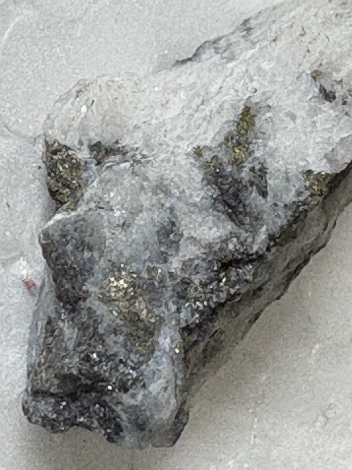 Visible GOLD & CALAVERITE Quartz Specimen Sunnyside Mine, Silverton COLO S4-2