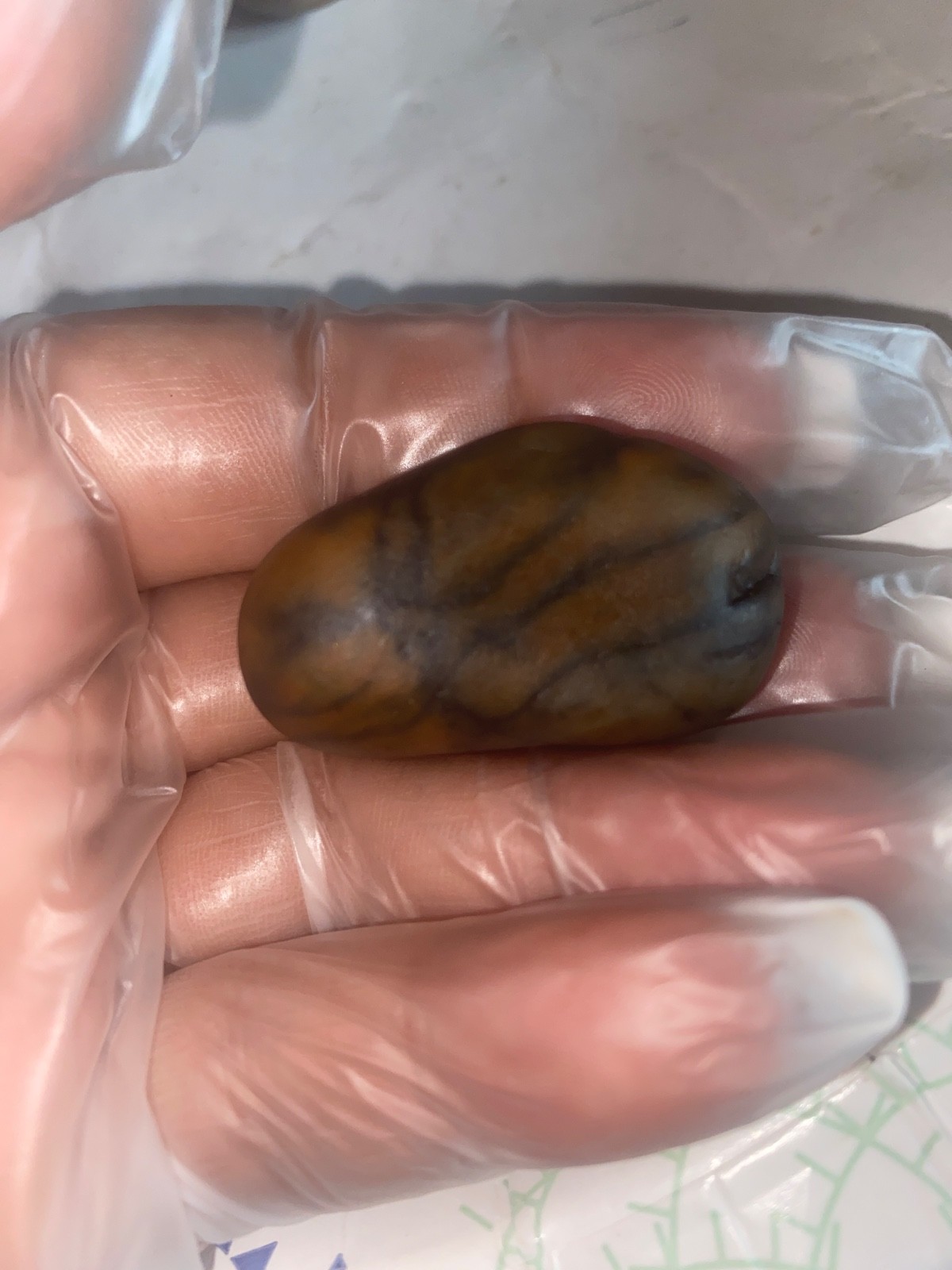 Beautiful river tumbled raw spider Jasper