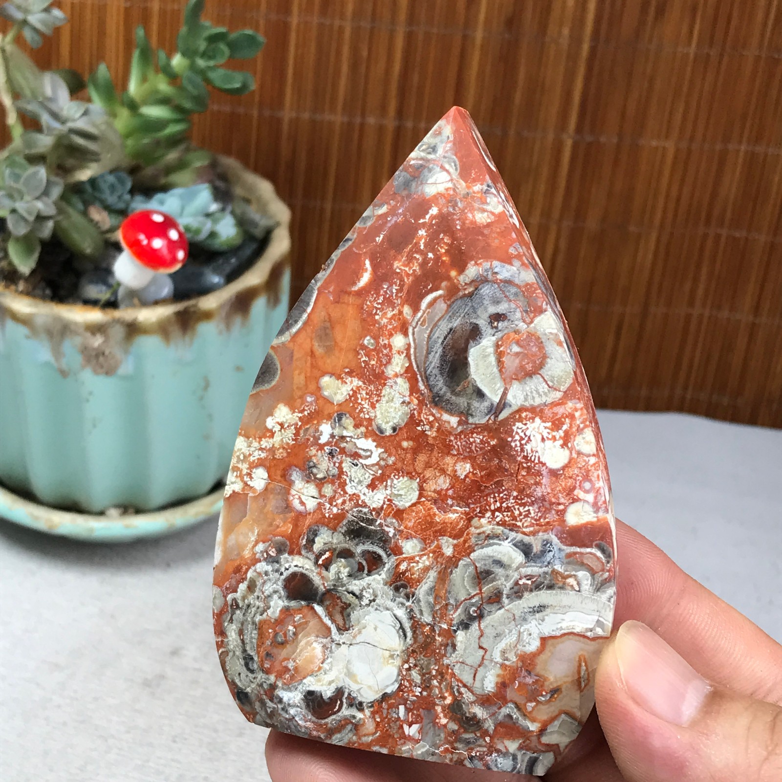 Natural money Mexico agate hand carve leaf Crystal Specimen free standing A6256