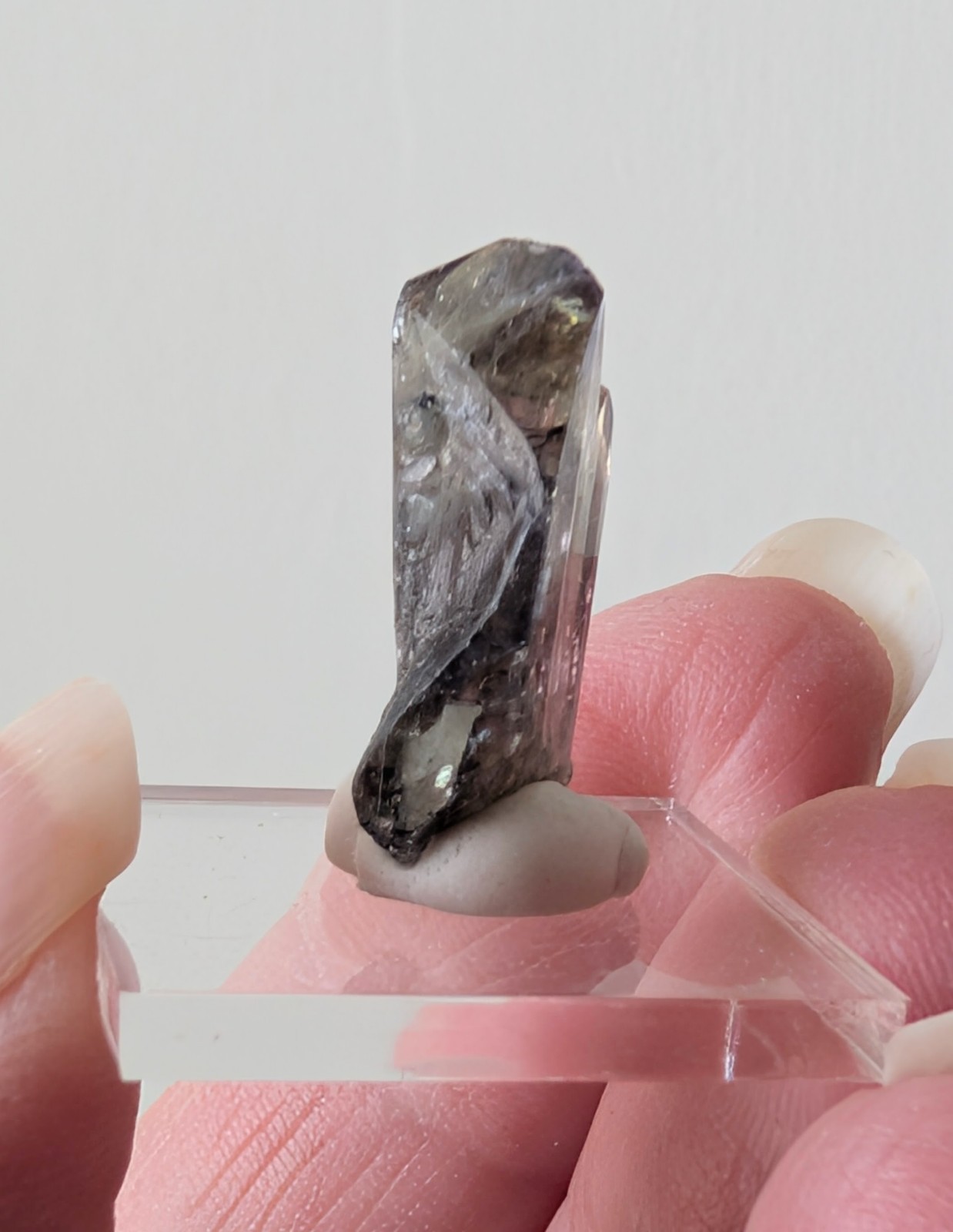 14.05 ct Natural Tanzanite Crystal – Unheated