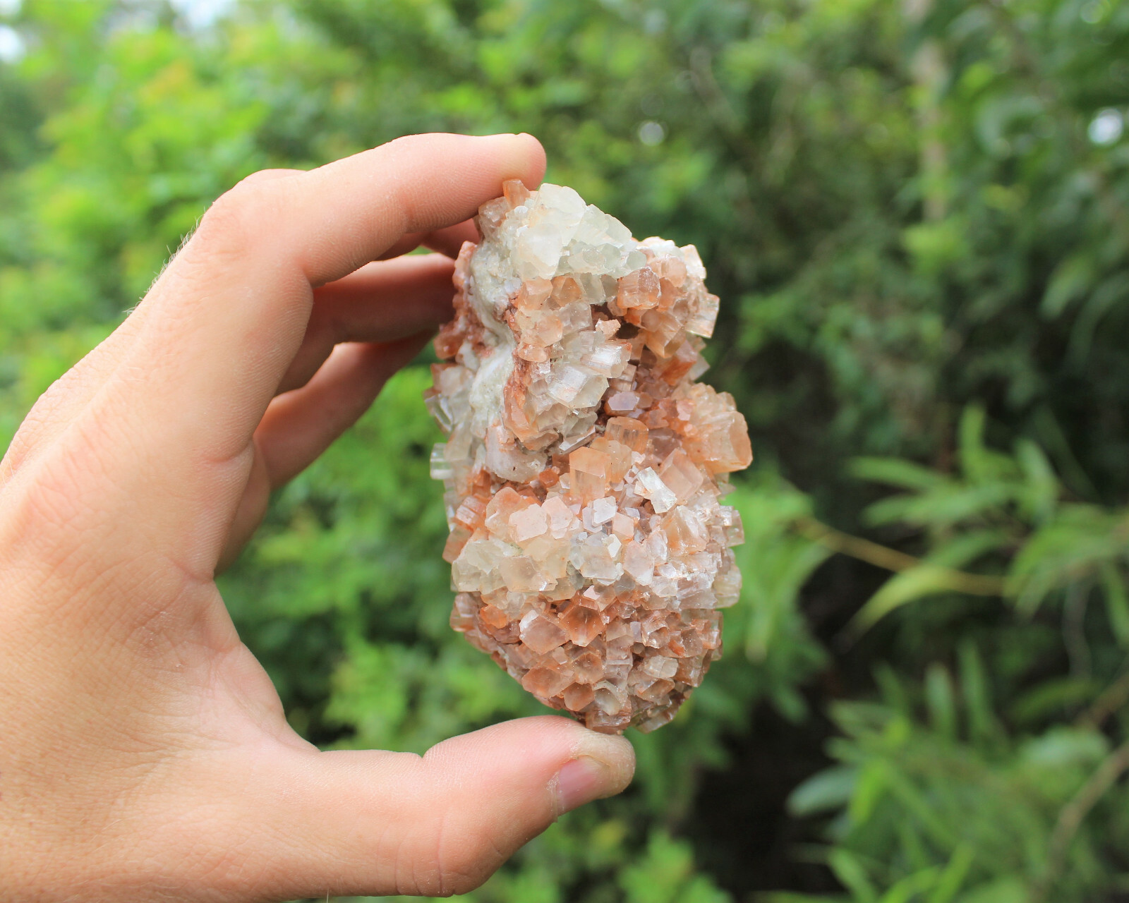 Aragonite Clusters from Morocco ‘A’ Grade Aragonite Crystals: You Choose Size!