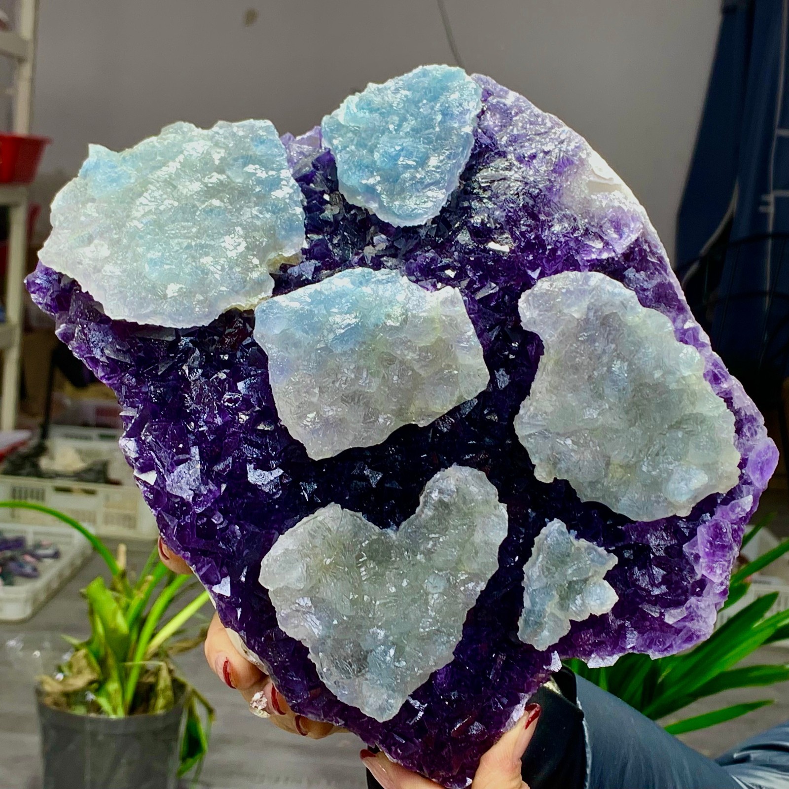 8.6LB Rare Purple Green blue cubic fluorite mineral crystal sample/Zhejiang