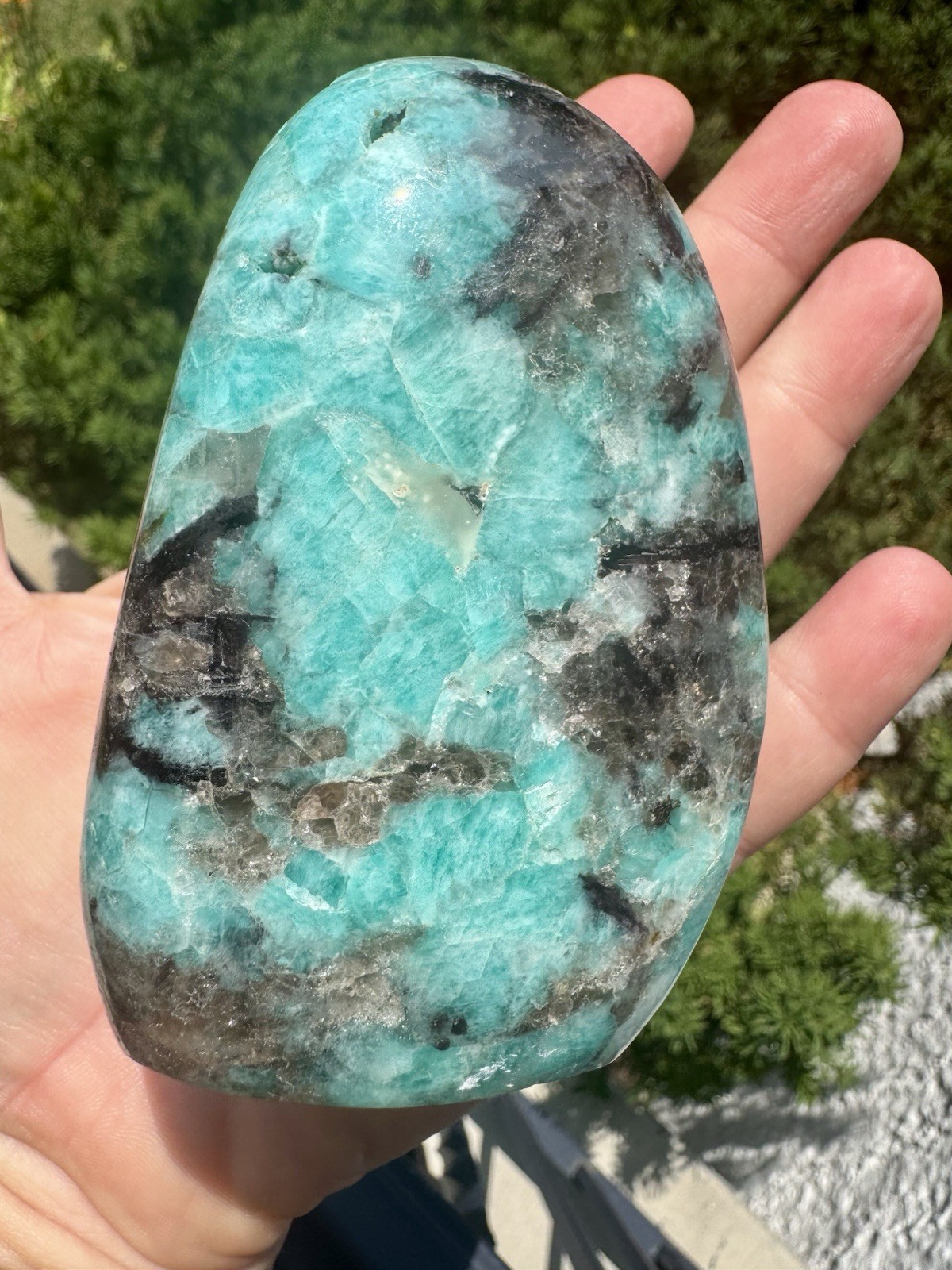 Vibrant Polished amazonite With Smoky Quartz Freeform.