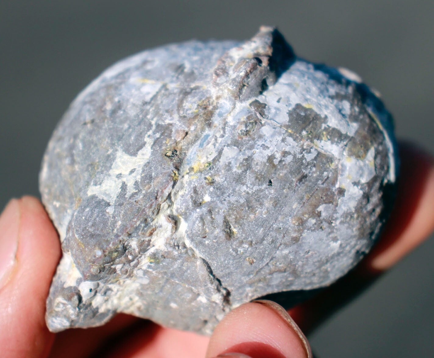 Bag of 50, Whole Dugway Geodes • 2.0″ – 2.5″ diameter