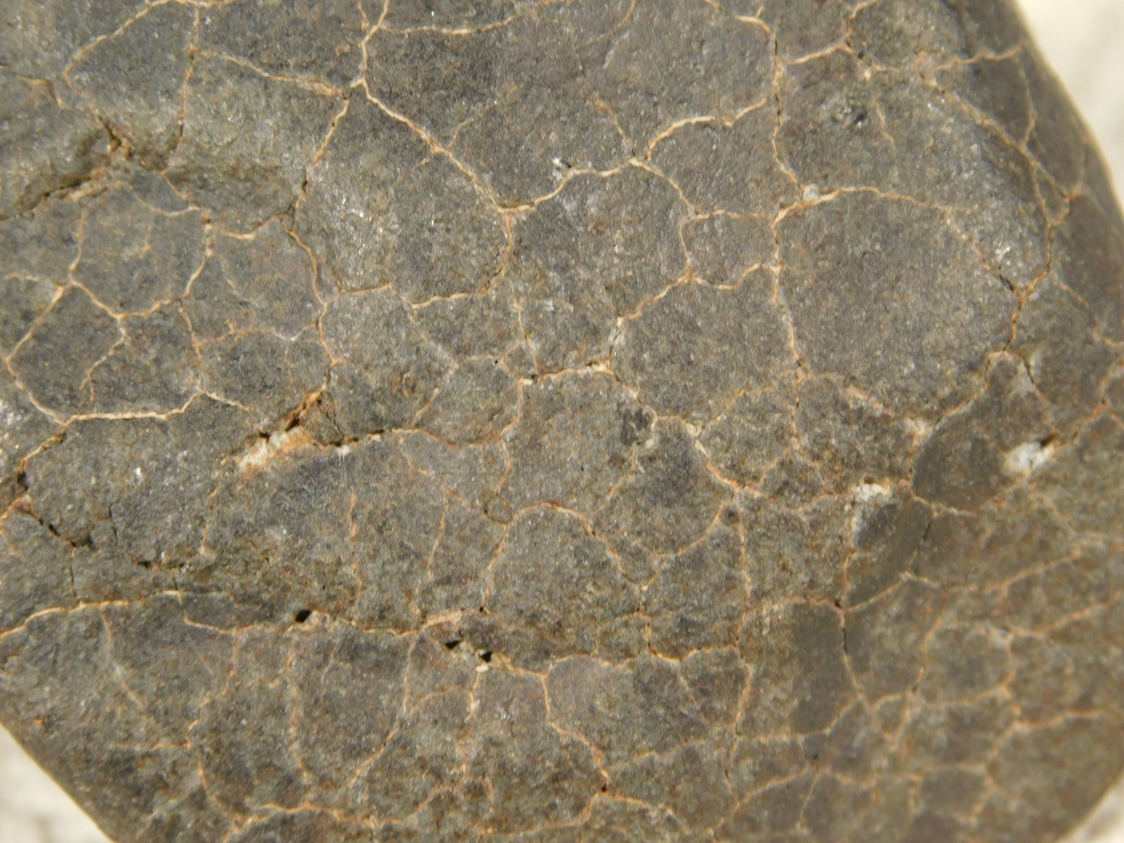 H6 Stony METEORITE Regmaglypts DARK Fusion Crust and Contraction CRACKS! 155gr