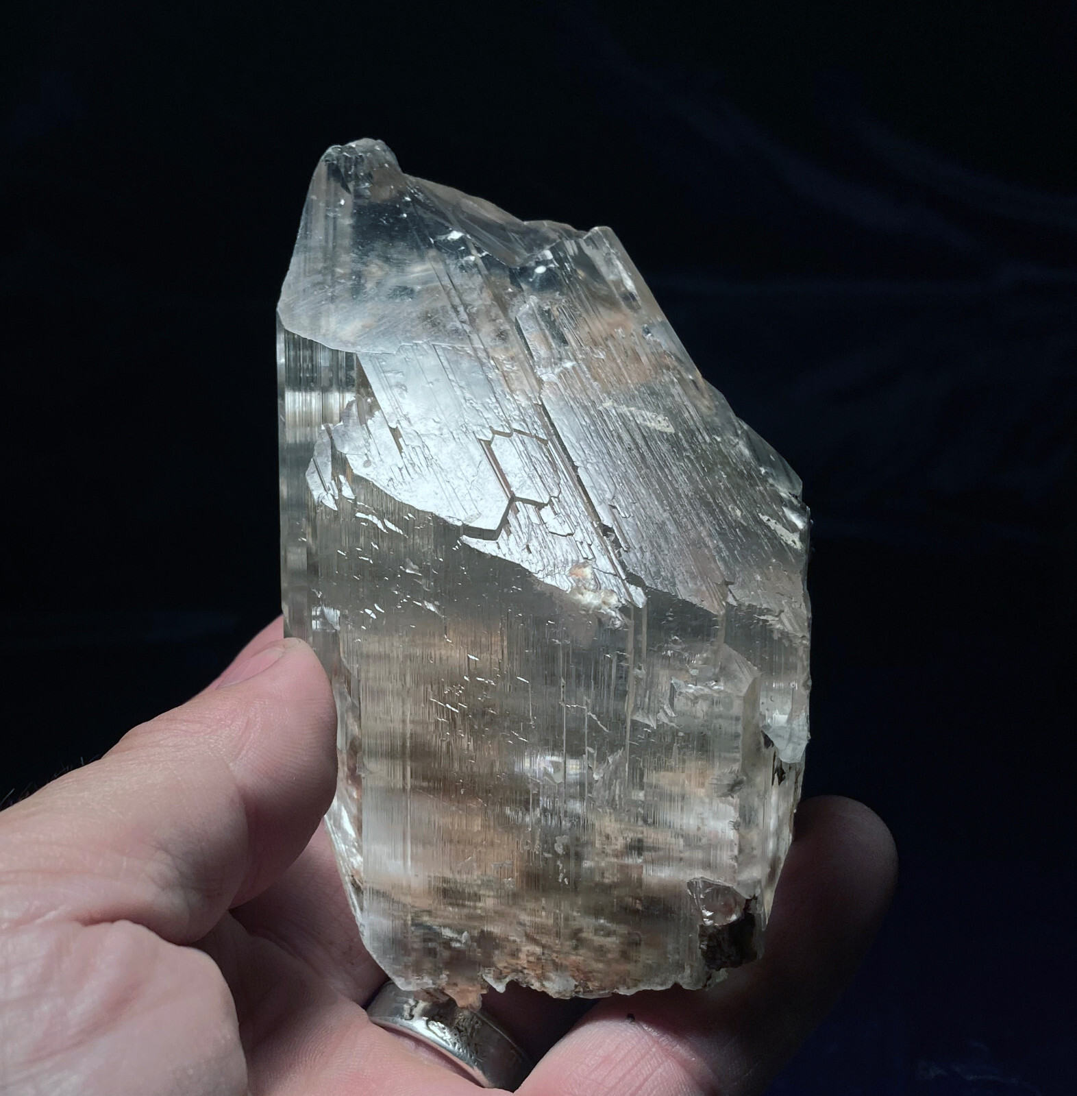 GYPSUM SELENITE NAICA MINE – Sharp single crystal LARGE – CHIHUAHUA MEXICO –