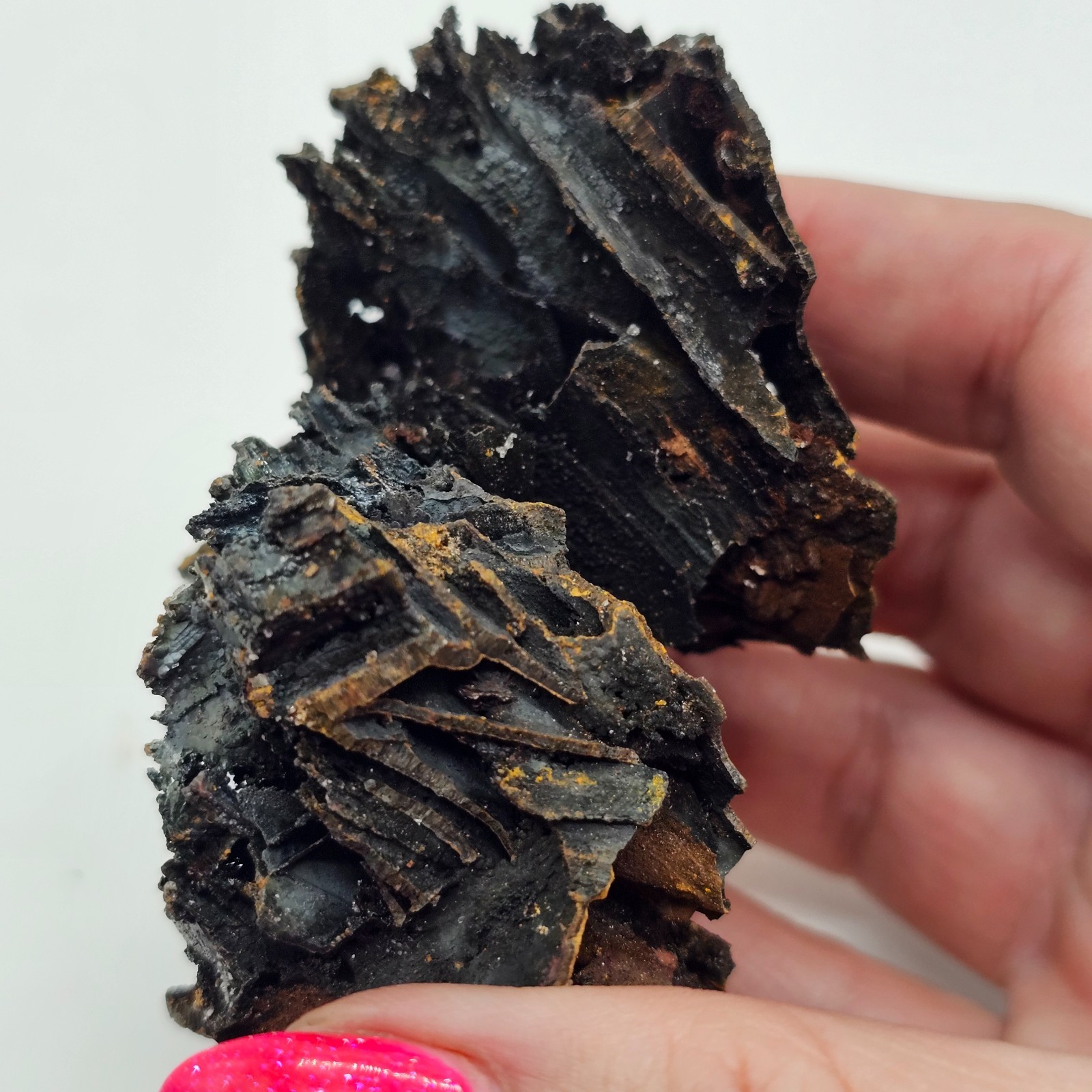 Goethite and Limonite Epimorphs of Gypsum Selenite Santa Eulalia, Mexico