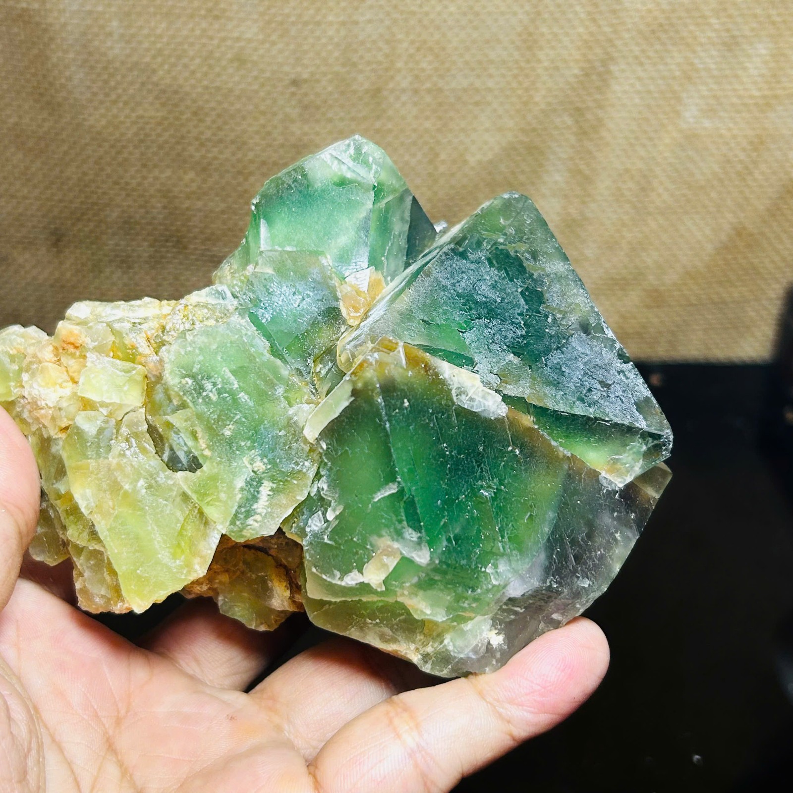 816g Natural Green Cubic Fluorite w/ Rainbow Crystal Cluster Specimen Healing