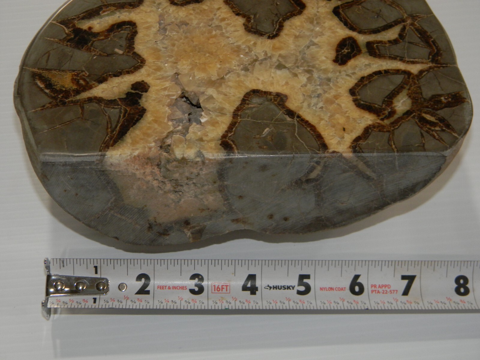 11 lb – Polished SEPTARIAN Nodule Half Utah Cut Bottom Standing
