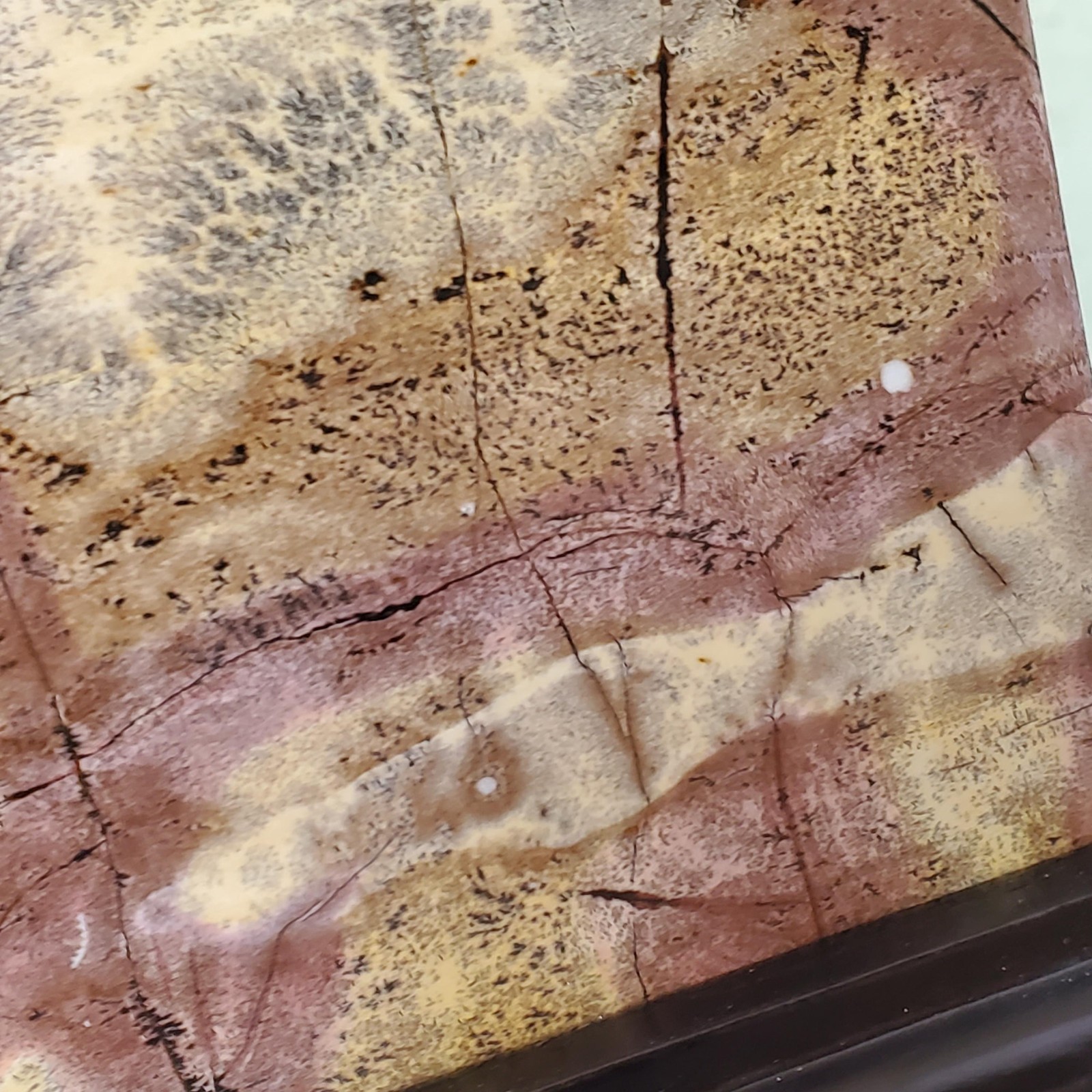 Picture Jasper Dendritic Display Crystal Statement Slab FREE Wood Stand 847 gra