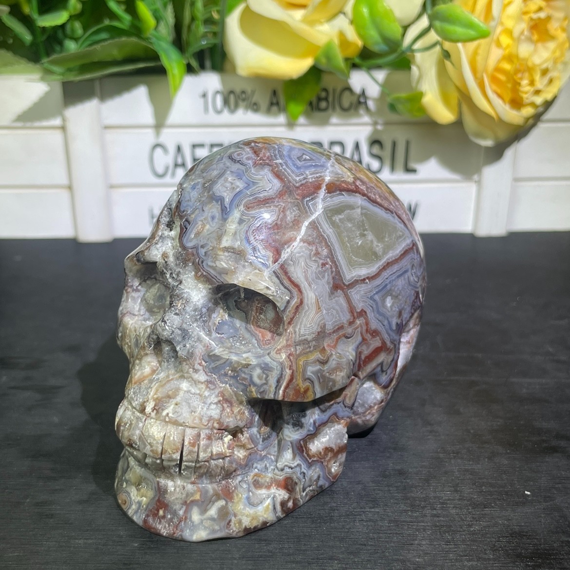 1.7LB 3.9″ Natural Mexican Agate Skull Carved Crystal Reiki Quartz Healing
