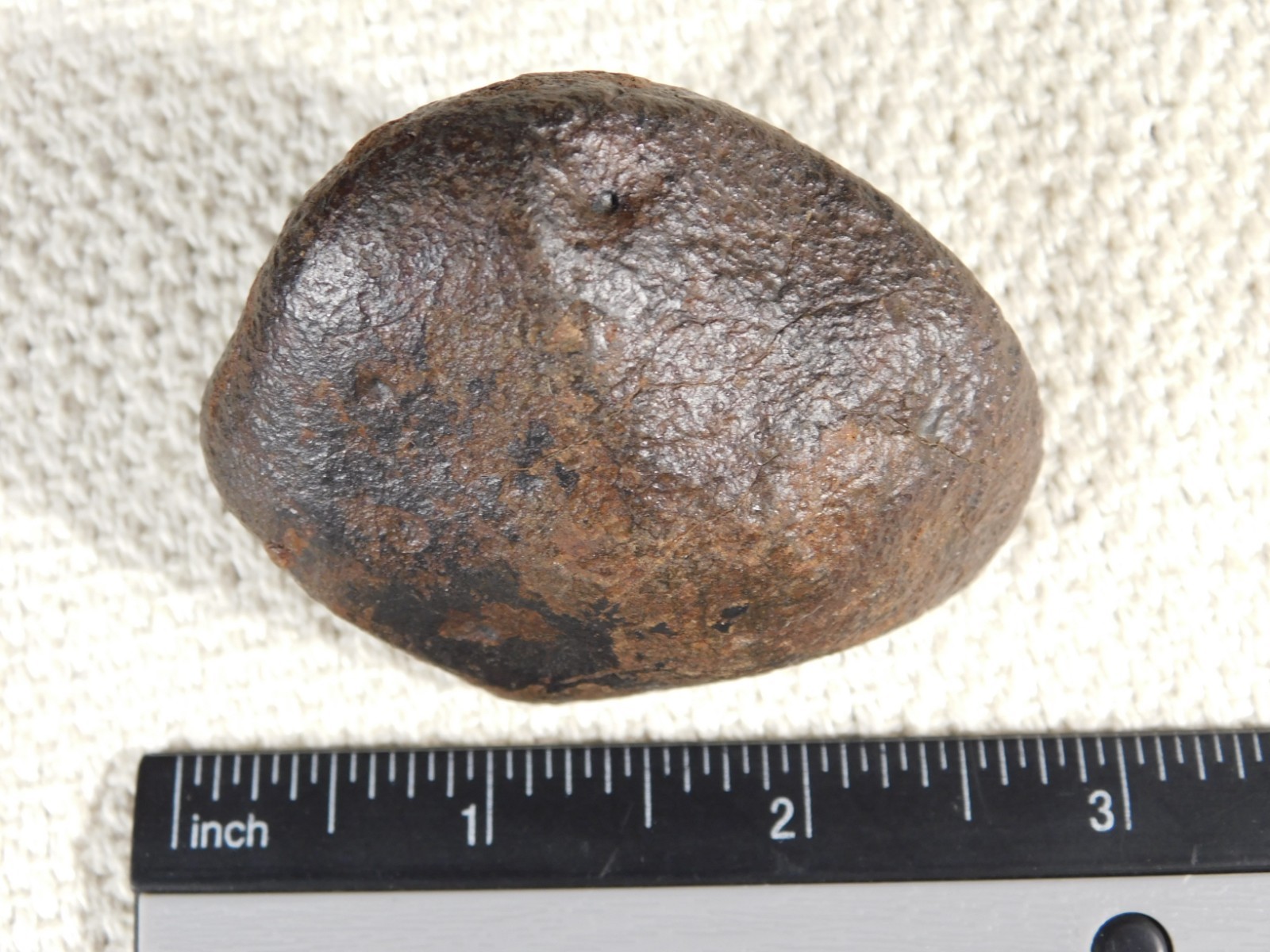 Nice! and 100% Natural Stony METEORITE FELL in Libya 181gr