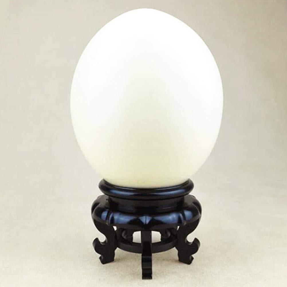 Display Stand, Carving Crafts, Egg Tray Base Bottom, Ornament for Homes or Of…