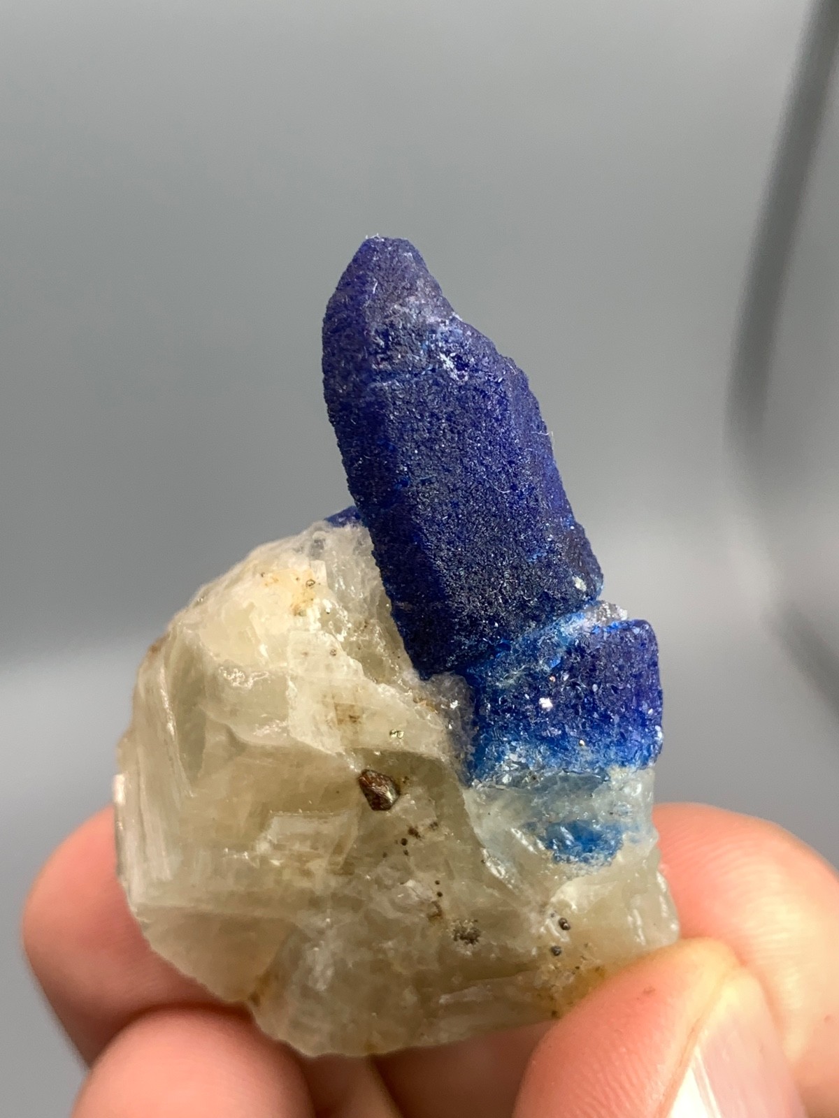 30g Afghanite Crystal on Matrix Badakhshan Afghanistan Mineral Specimen