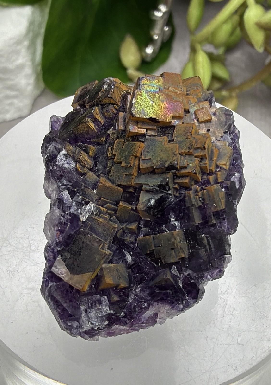 Crystal 25g Rainbow Covered Purple Fluorite UV Reactive Cluster Specimen Mineral