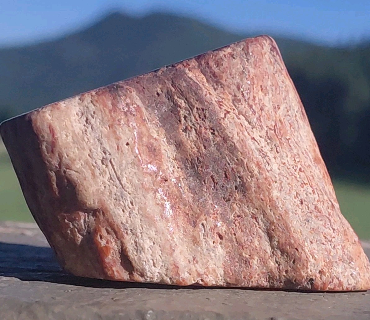 Polished Petrified Arizona Rainbow Wood Full Round Limb Tower Stands 2 Ways Red