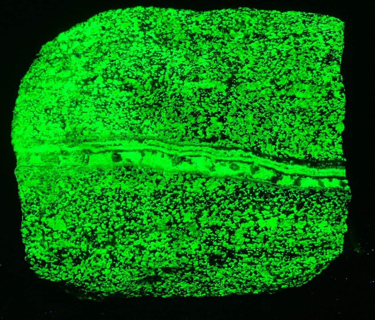 A101 Franklin NJ Fluorescent Willemite Vein 5.25×4.x2.5 in 6.23lb phosphorescent