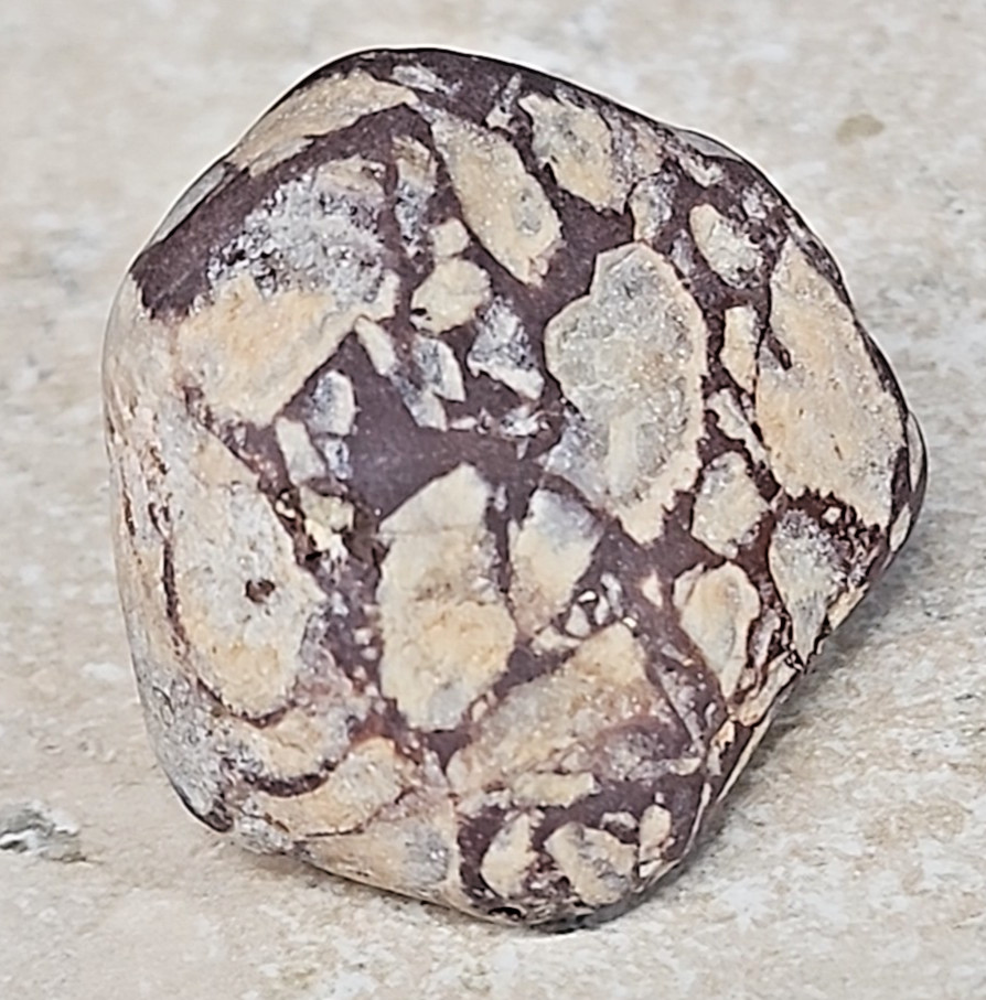Michigan Pudding Stone| Rough Tumbled Conglomerate 1.2 Ounce 1-1/4 Inch