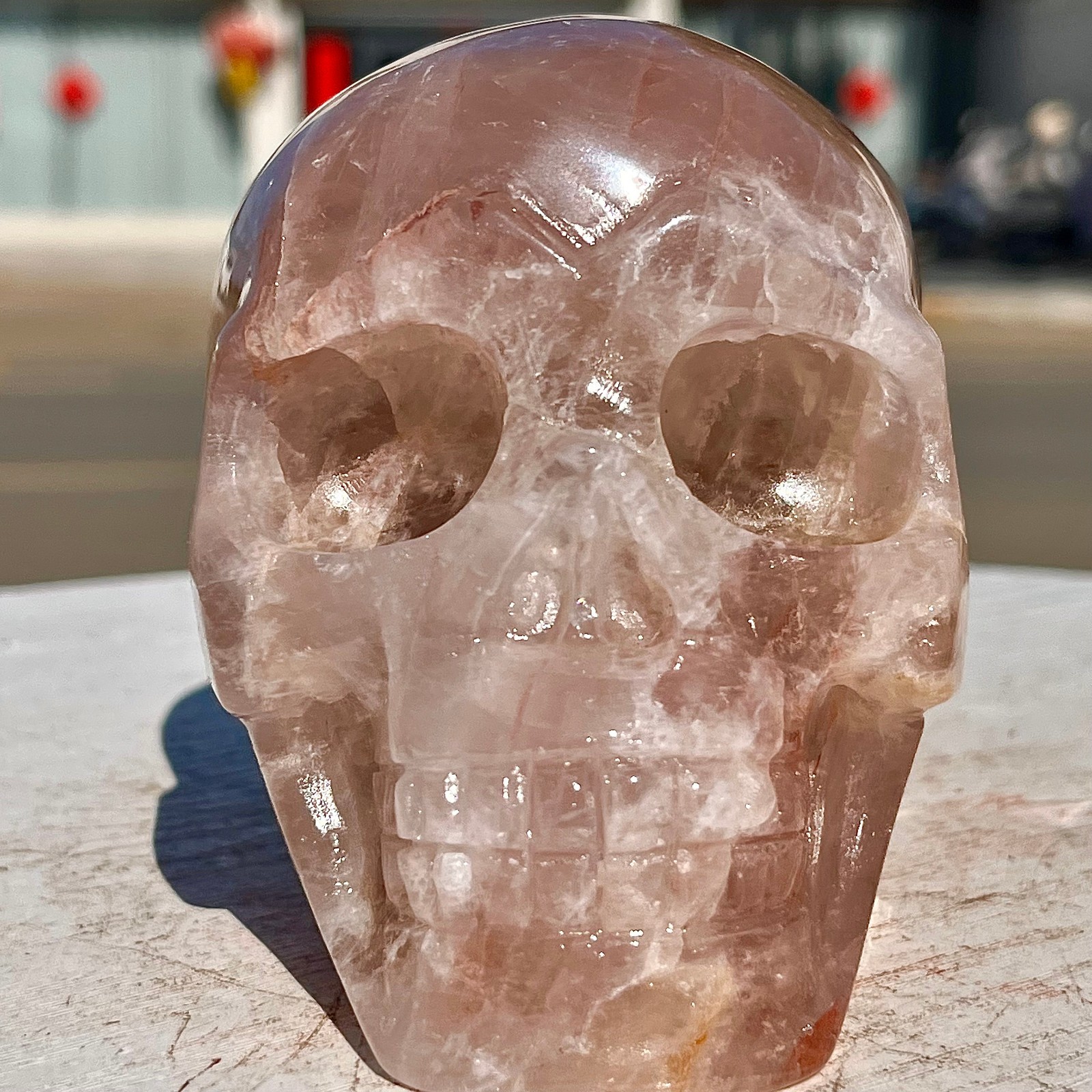 2.71LB Red Gum Flower Skull Carving | Handmade Carving | Healing Energy