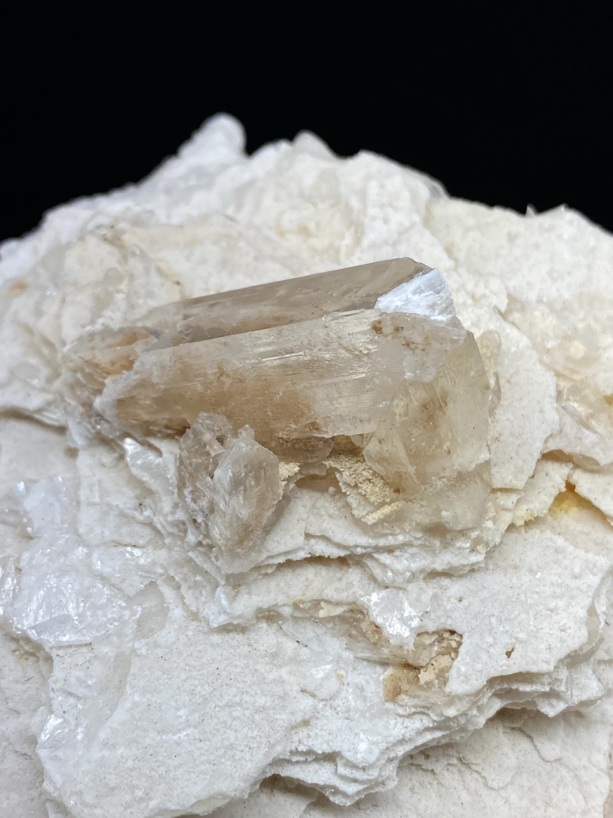 Selenite on Gypsum from Chihuahua, Mexico – Free Shipping