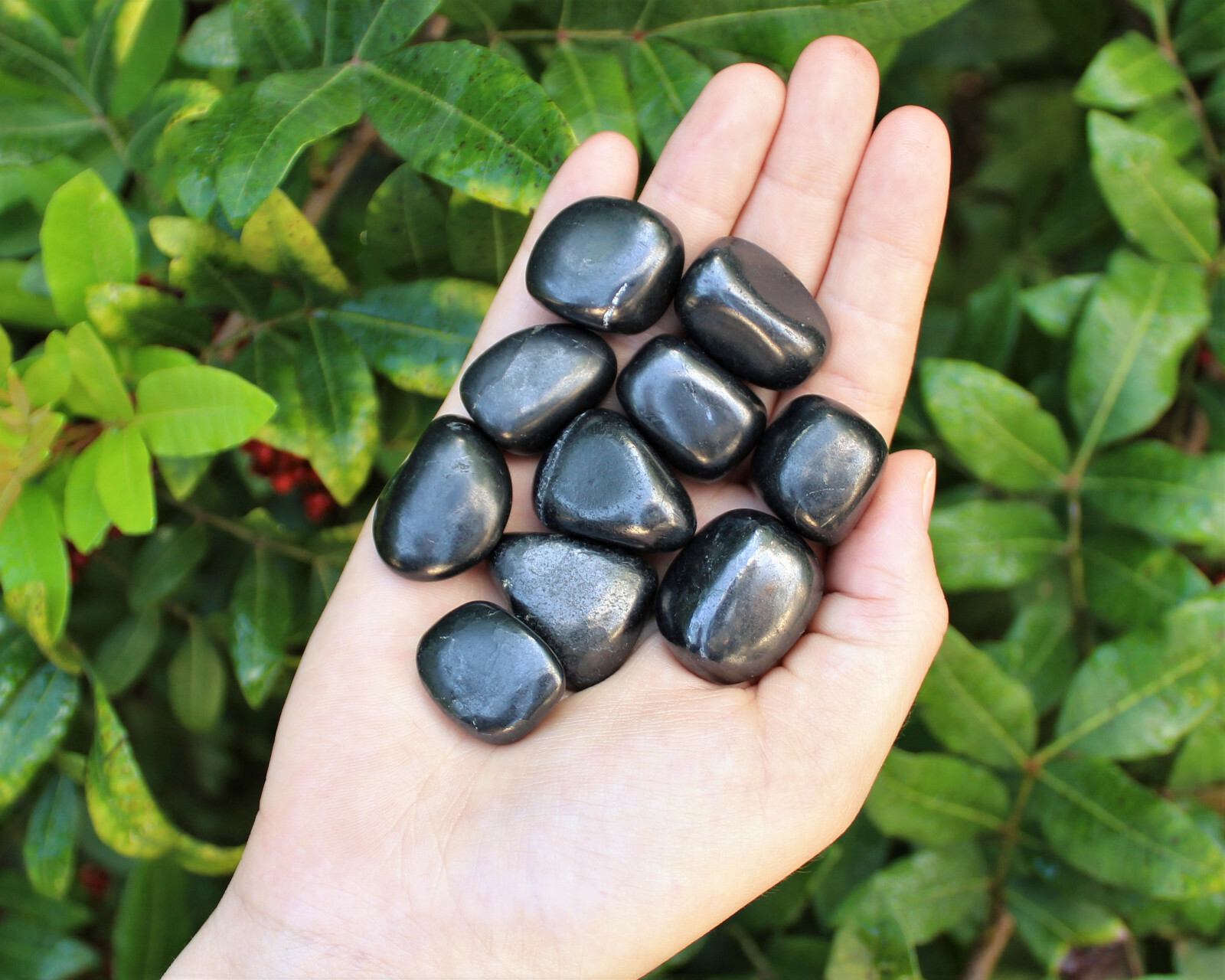 5 Shungite Specimen Tumbled Stones: Medium (Crystal Healing Gemstone Reiki)