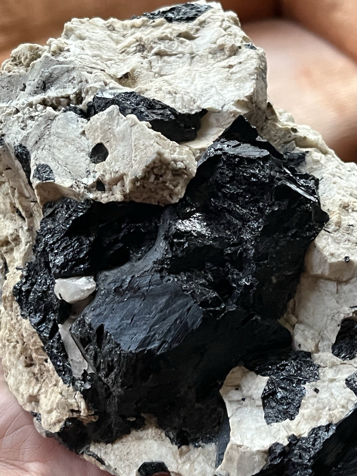 HUGE 6lb 9” Black Tourmaline Schorl Crystals In Matrix Maine USA Locality Quartz
