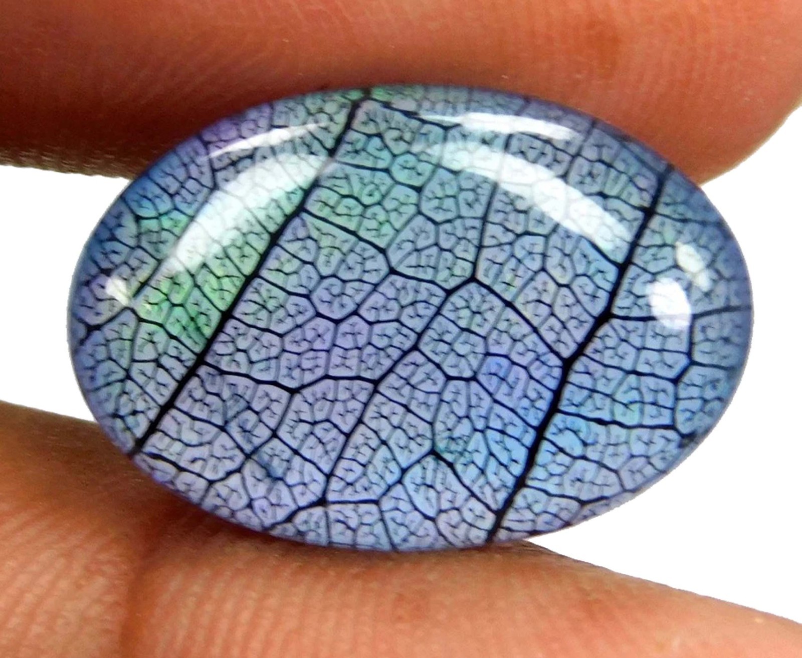 Oval IGL 7.85 Ct Natural Aurora Blue Fire Opal Doublet Rainbow Color Gems 5SJC