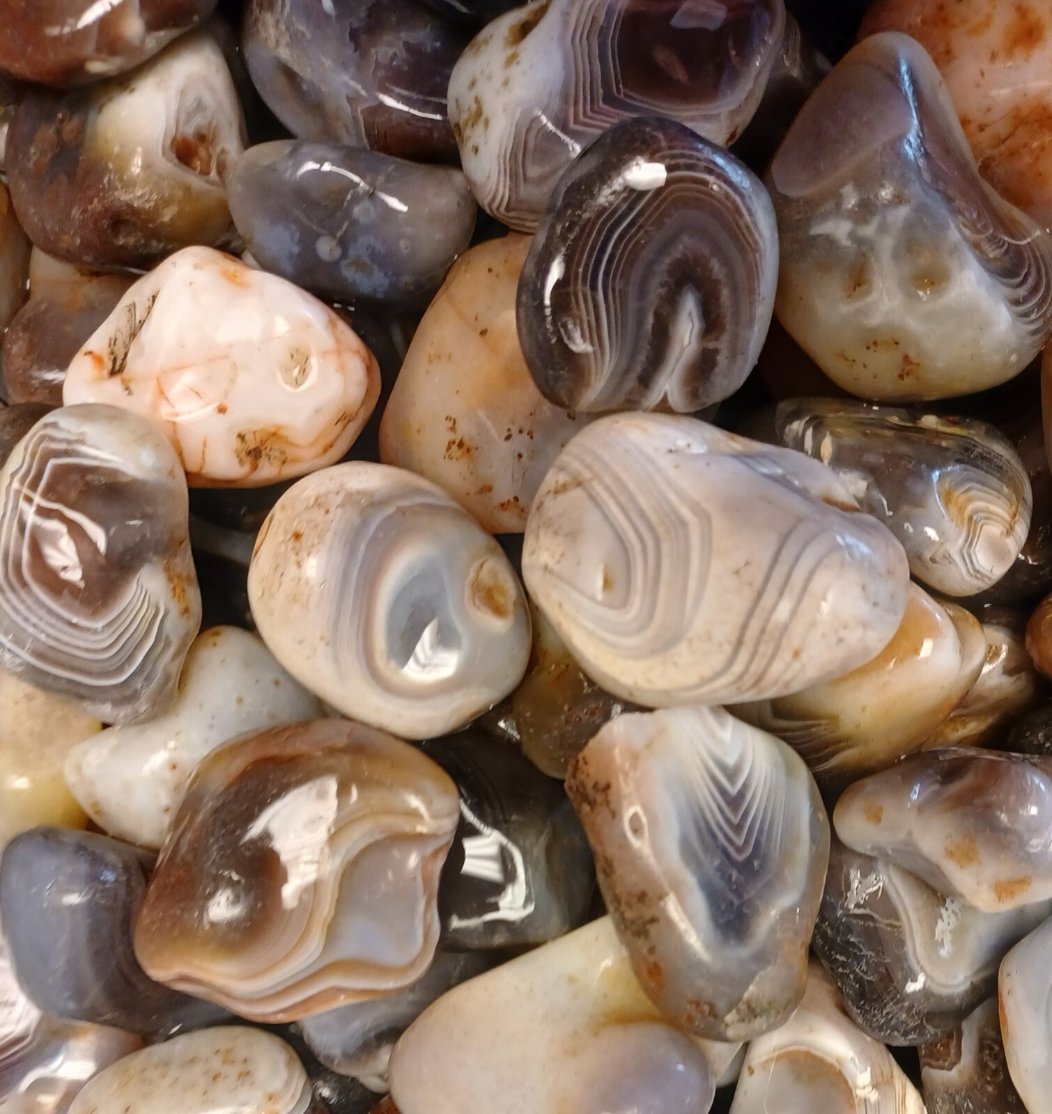 Botswana Agate rough 1-2″ A+ pound lbs tumbling lapidary banding wholesale bulk