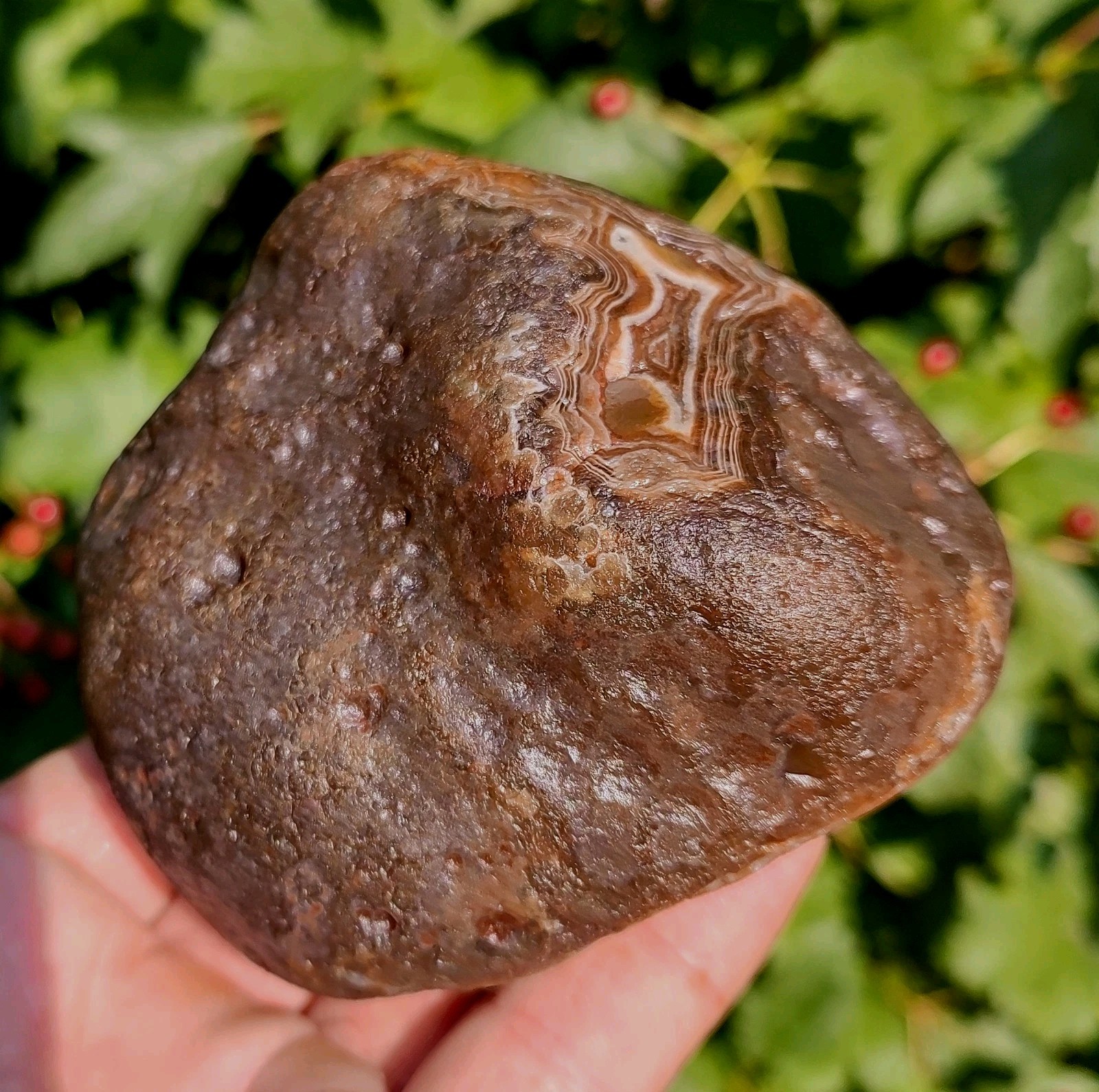 Lake Superior Agate✨, 1lb 8.7oz Outstanding Mixed Color Lake Superior Gem