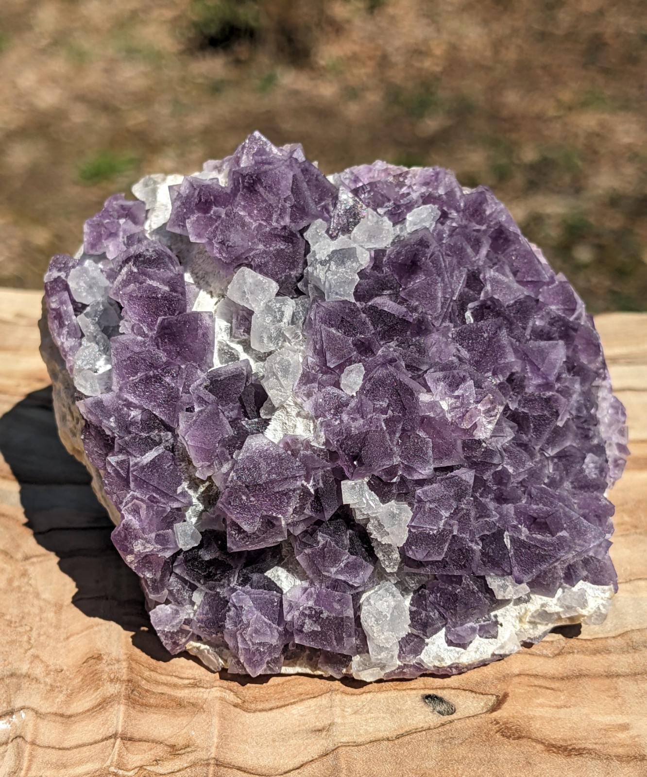 Purple Octahedral Fluorite W/ Light Blue Crystals From De’an Mine Jiangxi China