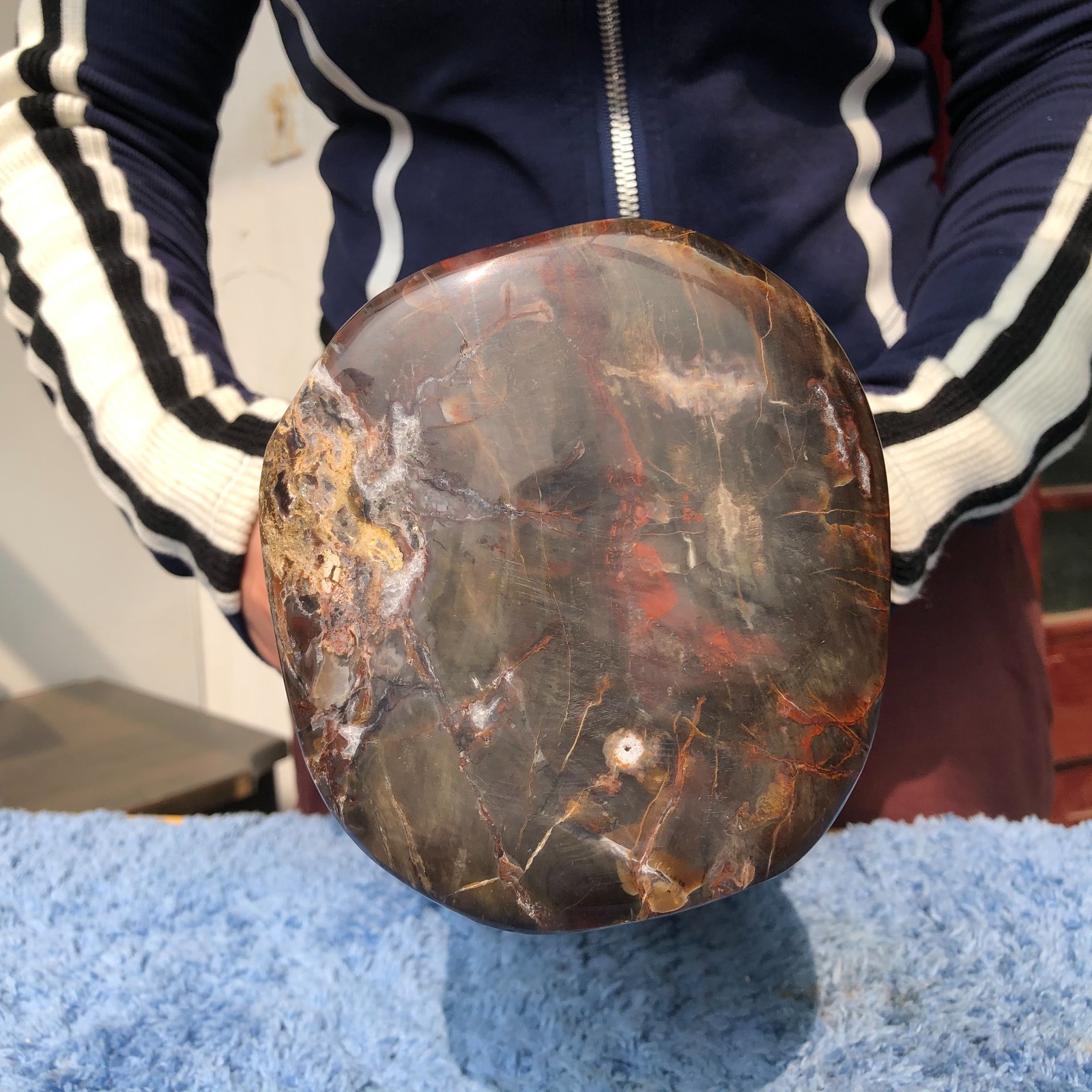 16.3LB Natural wood fossil quartz crystal mineral specimens healing