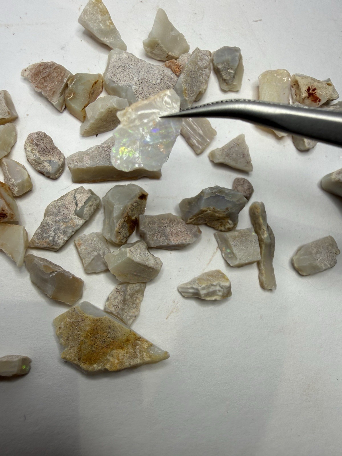 Lot Of Natural Australian Opals Multicolor Flash 26g Total With Plastic Case