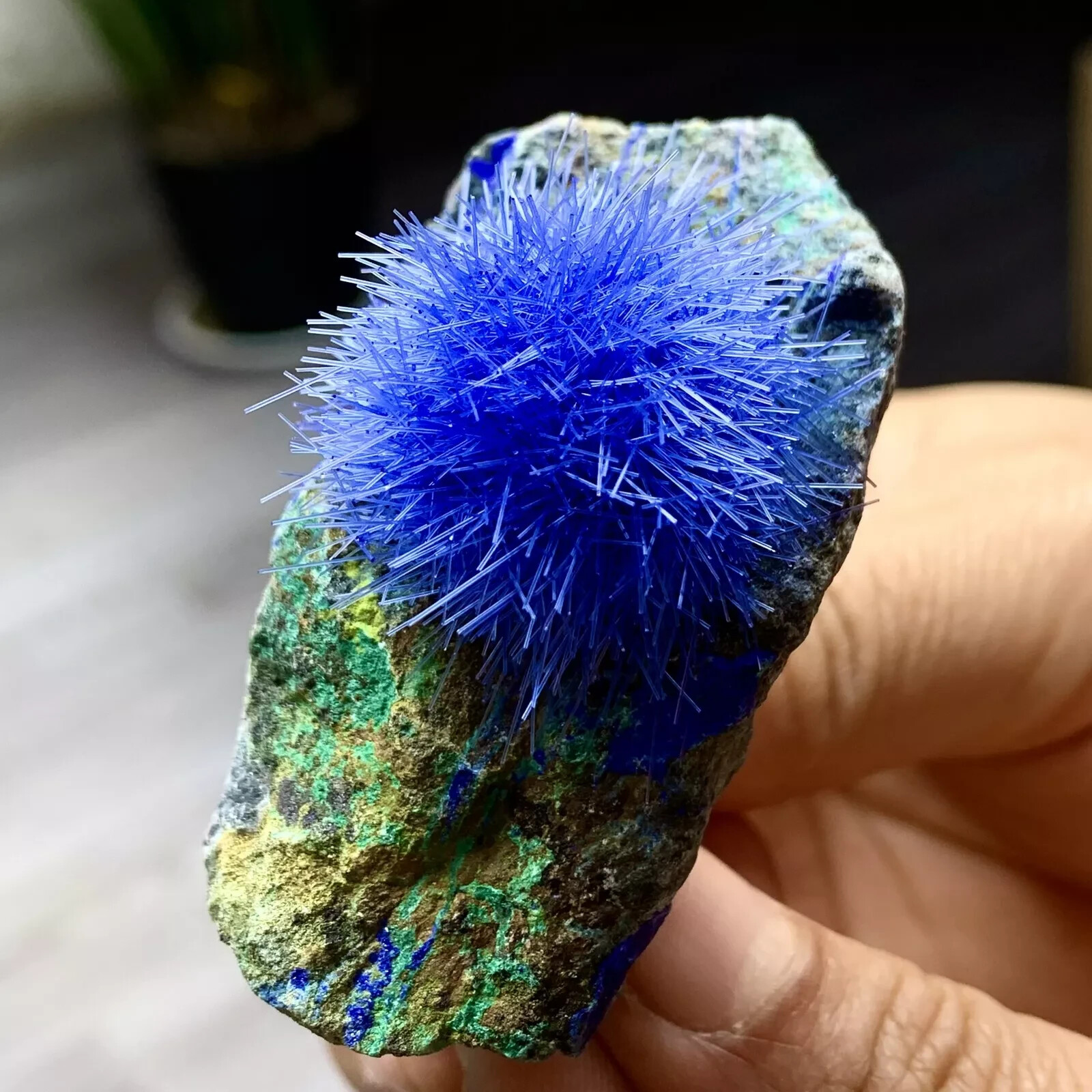 50-80g Blue Dandelion Zeolite Quartz Crystal Healing Cluster Mineral Specimen