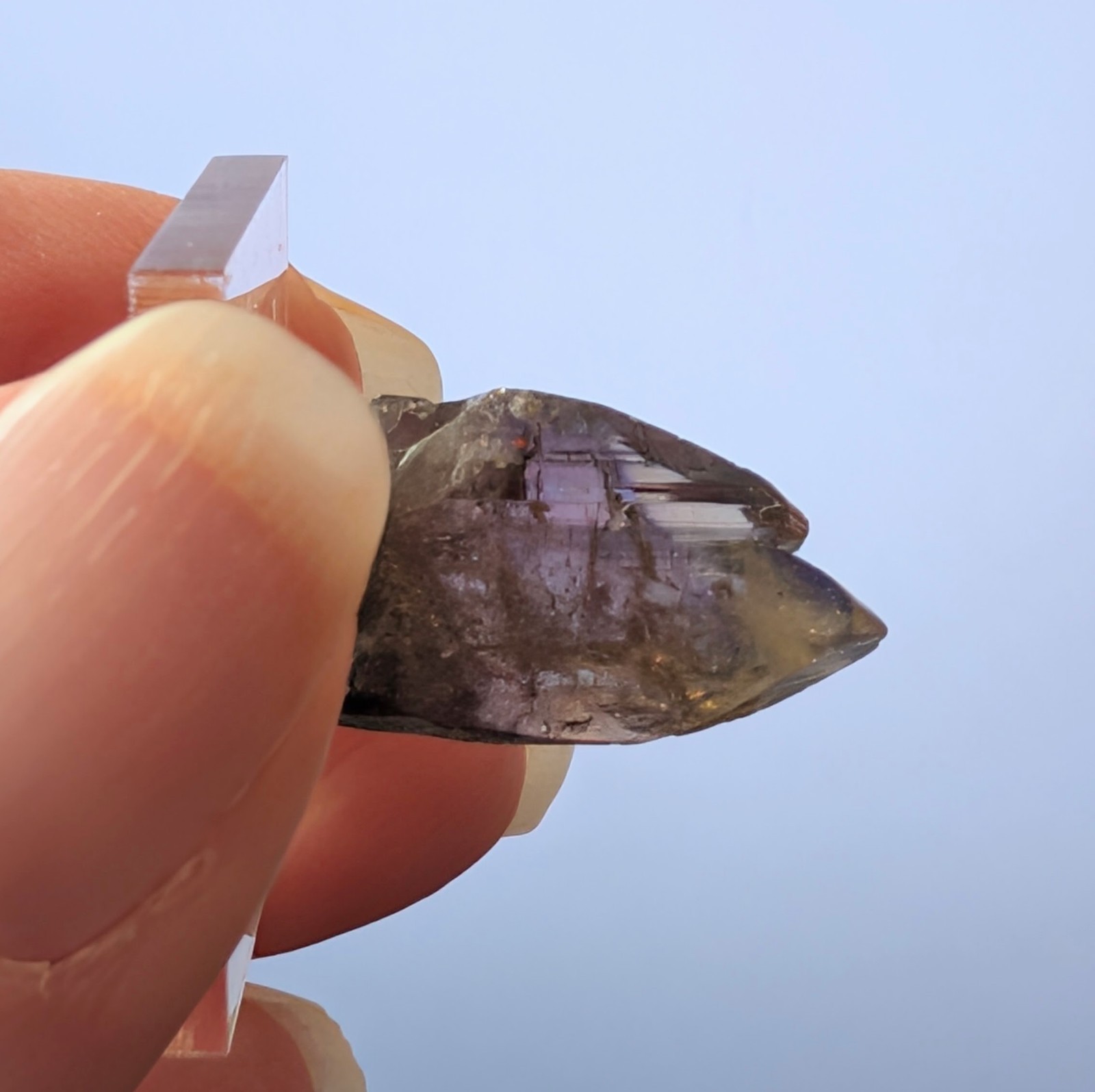 14.05 ct Natural Tanzanite Crystal – Unheated