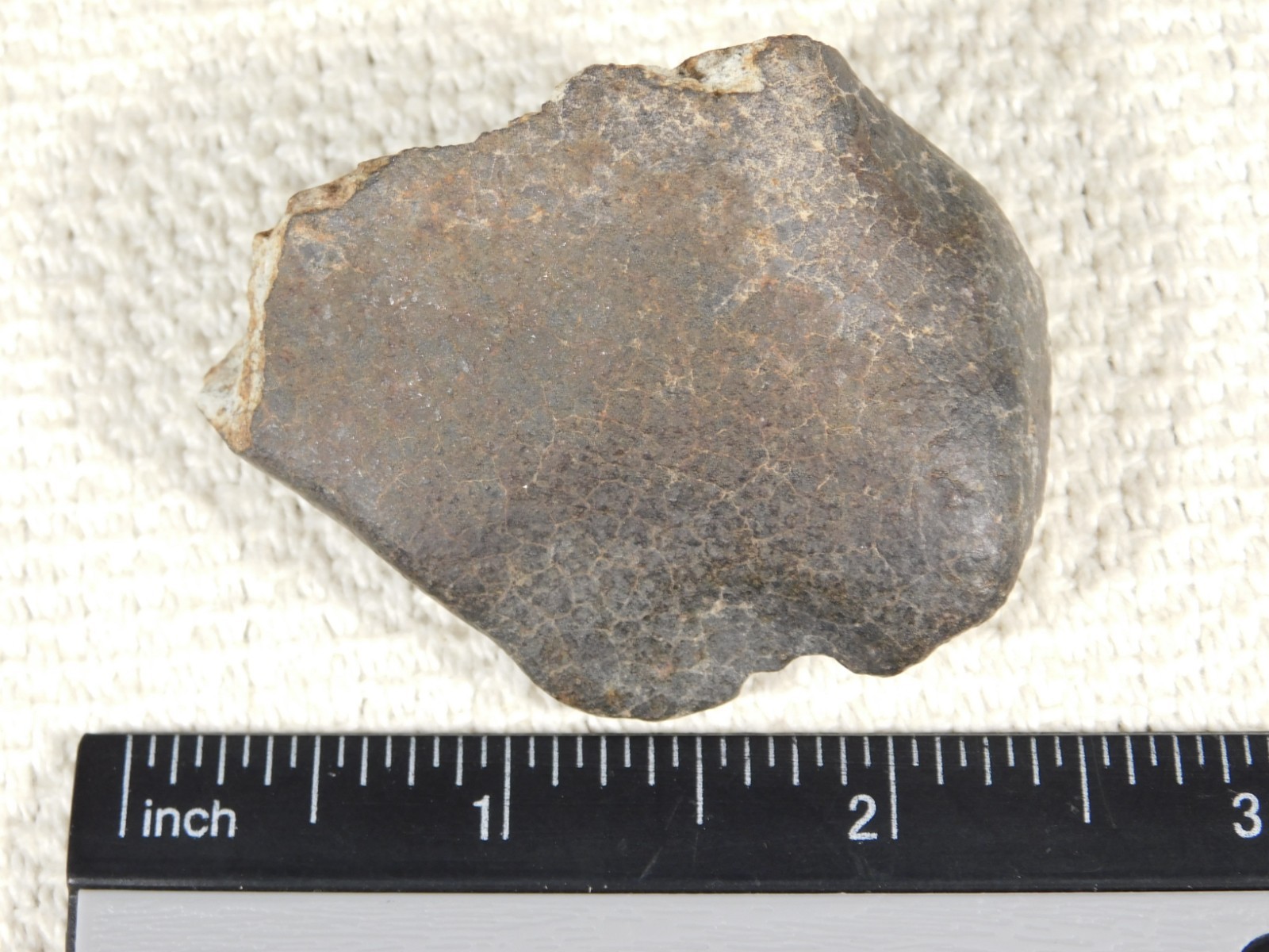 Stony METEORITE with DARK Fusion Crust and Contraction CRACKS 70.2gr