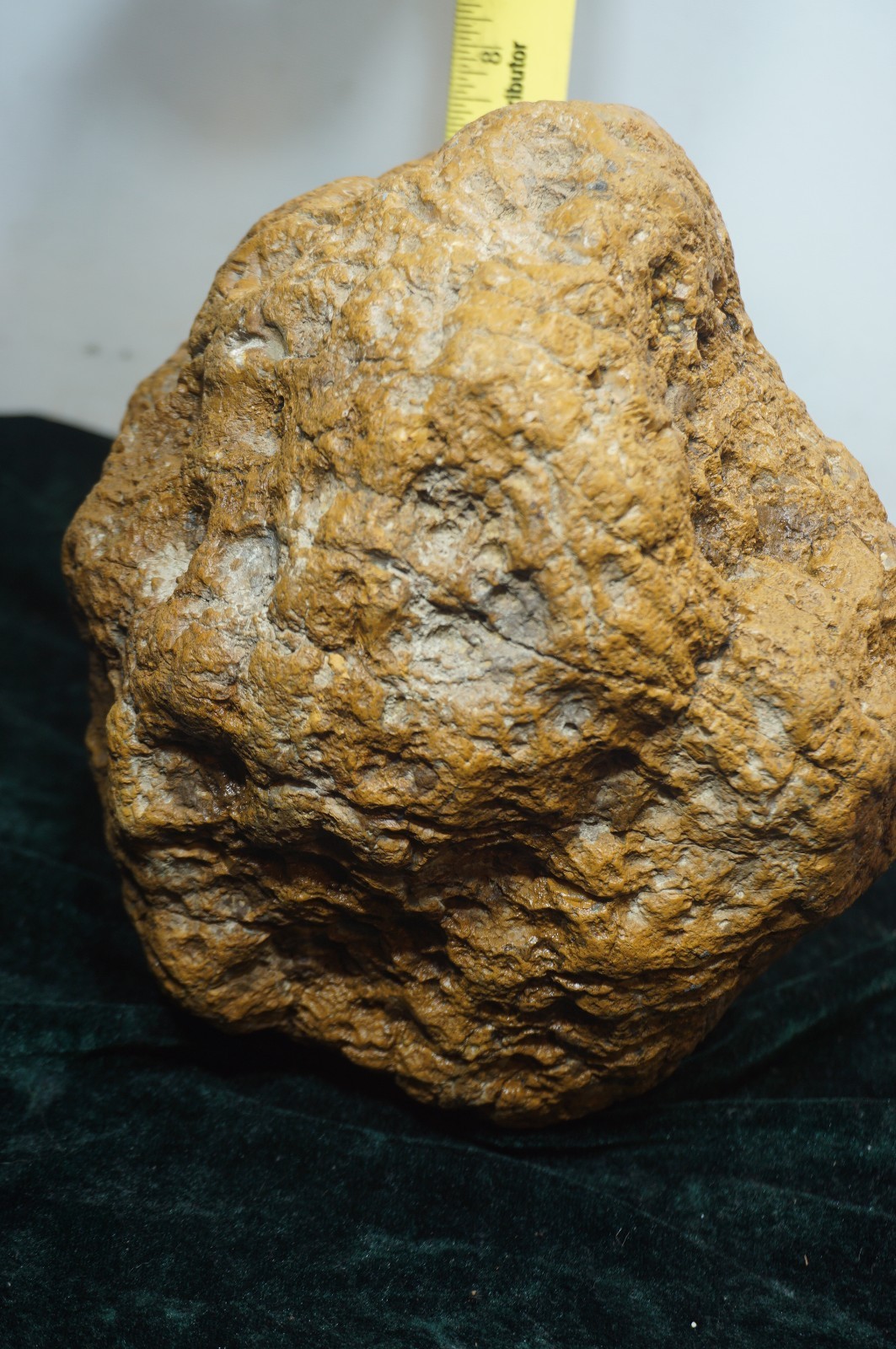 Kentucky Geode 19 Lbs.