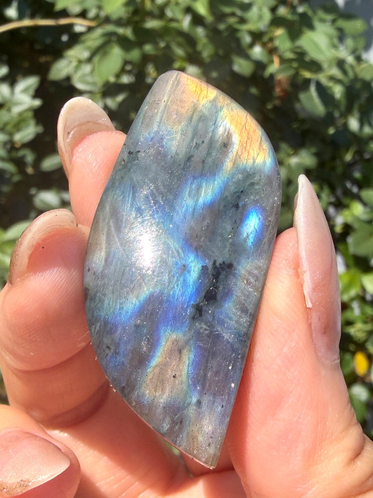 Wholesale Lot 12 Pcs Natural Labradorite Cabochon Crystal Healing Energy