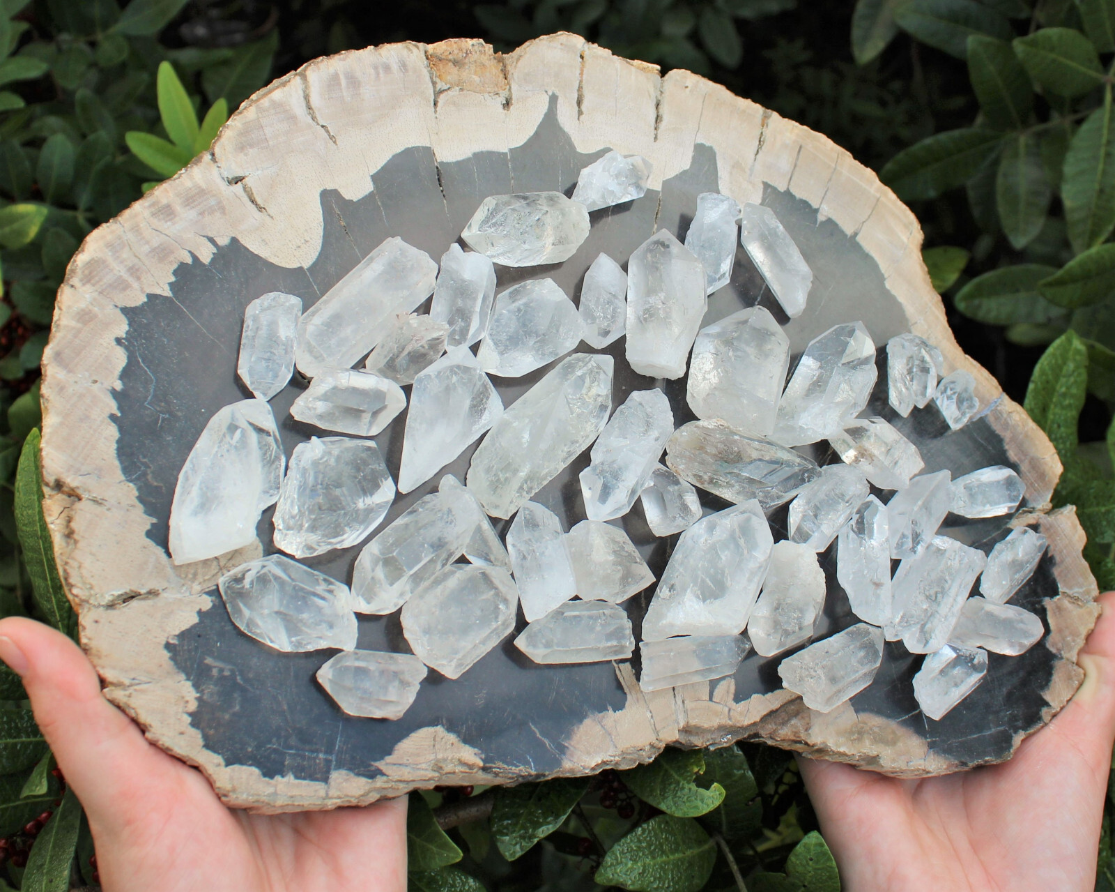 1/2 lb Bulk Smoky Quartz & Clear Quartz Crystal Collection Box (Natural Points)