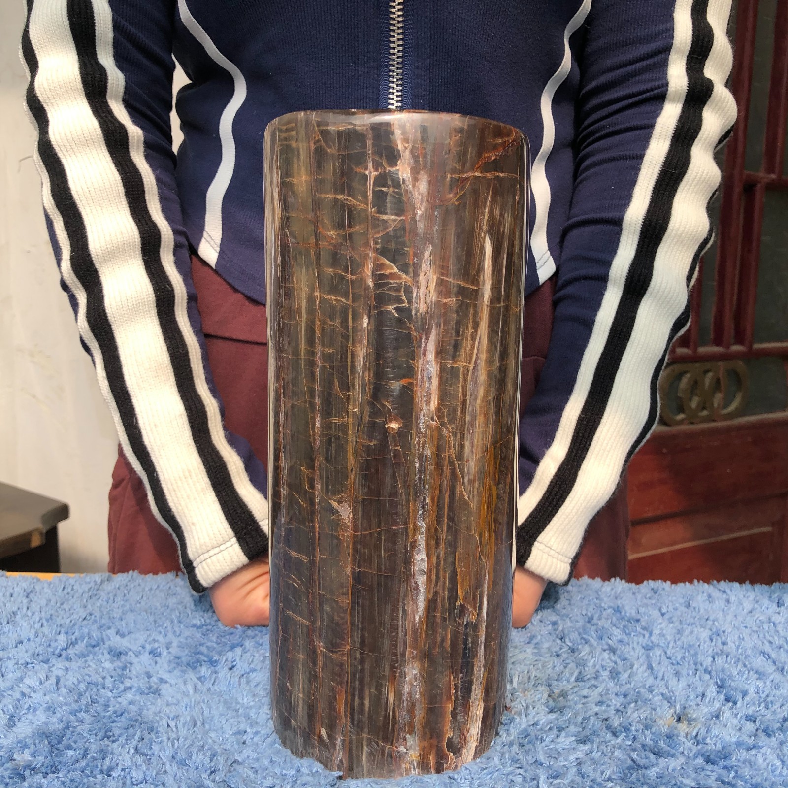16.3LB Natural wood fossil quartz crystal mineral specimens healing