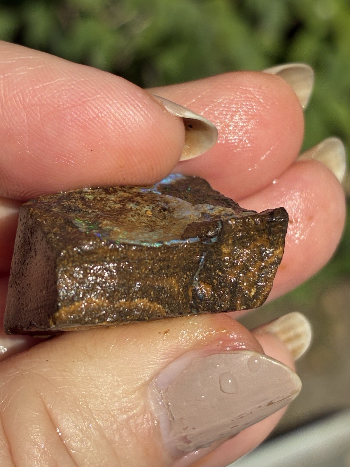 71ct Australian Boulder Opal Rough Loose Multicolor Specimen S